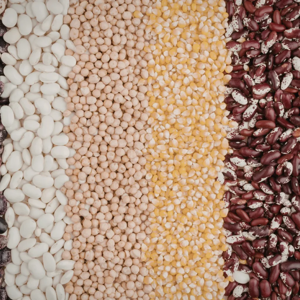 Grãos de lentilha e arroz integral Grãos de lentilha e arroz integral